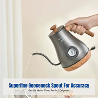 Stainless Steel Electric Drip Kettle, Gooseneck Spout, Temp Control, Home & Office
