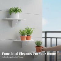 Semicircle Hanging Container on the vertical surfaceMounted Plant Holder adaptable for Renters
