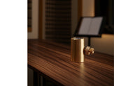 Wolf Tone Reducer Gold-Toned Dampener Adjustable Accessory for Violinists, Rehearsal