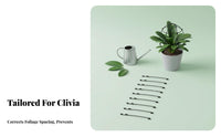 Promotes Symmetrical Growth Clivia foliage Alignment Tool Adjustable Design Plant guide Gardening Accessory for Gardeners, Balcony, Office, Home