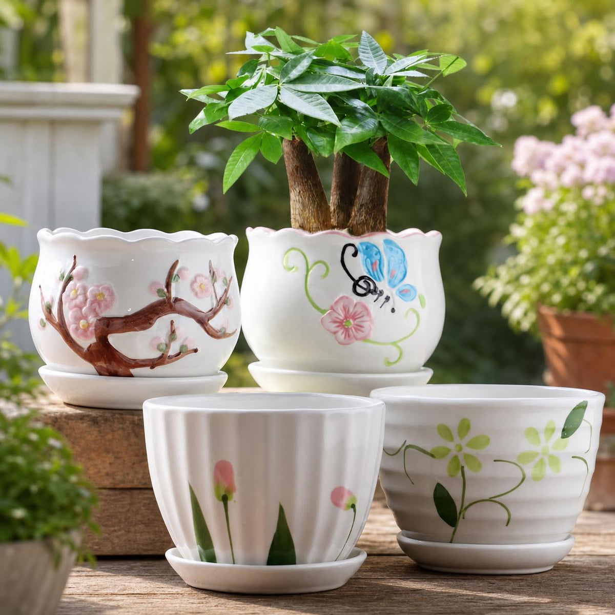succulent planters