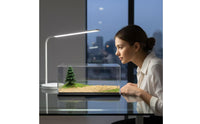 Display Case with Diorama Transparent Model Car Display Case Dust-Resistant Showcase for Hobbyists, Desk, Office