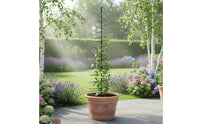 Spiral Plant Trellis Reusable Metal Trellis Easy to Install for Gardeners