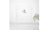 Acrylic Display Cabinet with Shelves Transparent Wall-Mounted Display Cabinet spaceSaving Storage Organizer for Figurines, Miniatures