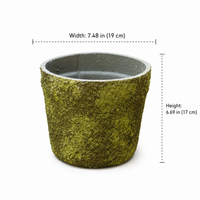planter