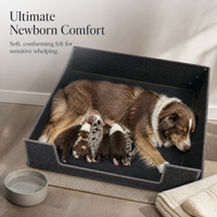 Pet Whelping Box and Nest for Cats and Small Dogs, Durable All-Season Puppy and Kitten Bed