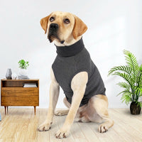 Dog Comfort Vest for Calming Relief, Polyester Jacket Vest in a Casual Style for Autumn Wear, Pet Calming for Visits and Separation