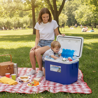 Portable Insulated Cooler Box for Camping, Picnics, and Outdoor Use