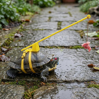 Turtle Walking Leash Telescopic Turtle Leash Harness Rod Handle Pet Tortoise Walking Rope for Outdoor