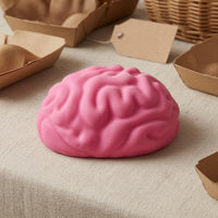 Raised Grooves Brain Squishy Toy Pink Brain Stress Ball Slow Rising Anatomy Stress Ball Handheld