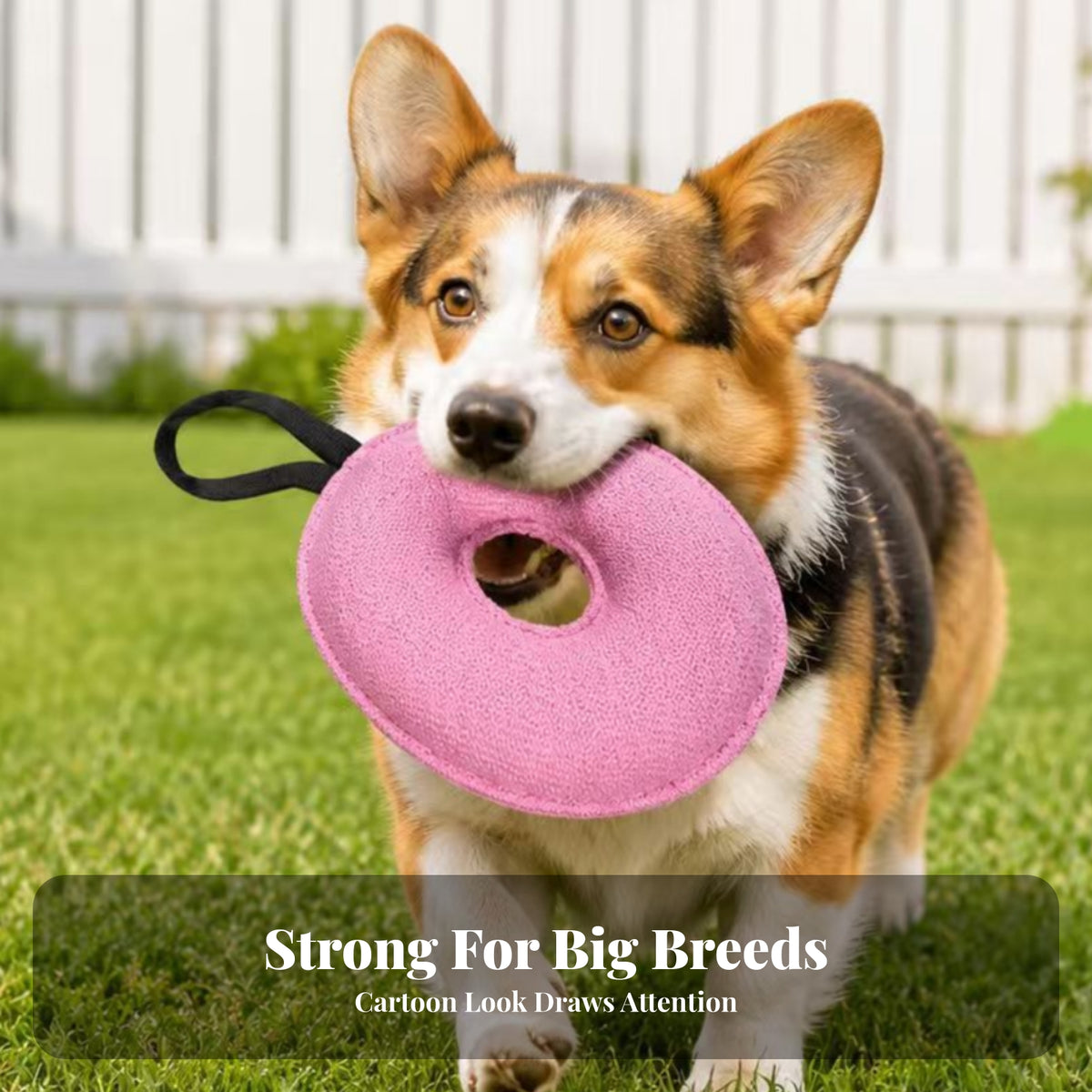O-Shaped Pet Toy  Textile Pet Plaything Easy Grip