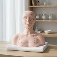 Multi-Function Massage Training Mannequin Reusable Acupoint Model Bust Long-Lasting for Students, Beginners