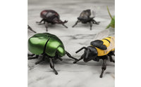 6 Pieces Boxed Set Wind-up Toy Articulated Legs Crawling Bug Toy Translucent Wings Plastic Figure Printed Color Box