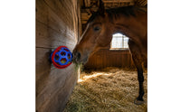 Hollow Horse Treat Ball Spherical Lattice Treat Ball for Stable