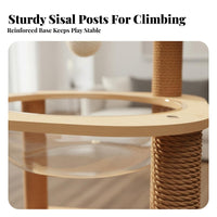 Compact Design 2-Tier Feline Climber with Transparent Pods Stable Structure Multi-Level Feline Condo Allall-All-in-Unified Activity Station Pet Furniture Scratch-Friendly Posts for Felines, Apartment Dwellers, Kittens, Small Areas, Living Room, Bedroom