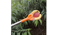Fruit Picking Pole Lightweight 3-Claw Fruit Picker for Garden