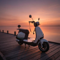 Widened Platform Scooter Dog Extension Board Stable and Secure Scooter Pet Footboard for City Commuting