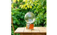 Capsule Machine Countertop Bouncy Ball Machine Transparent Toy Dispenser for Kids