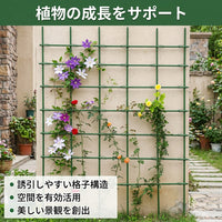 Trellis Iron Fence Clematis Support Green Garden Gardening Climbing Plant Training
