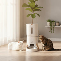 Programmable Smart Pet Feeder Timed Automatic Feeder with Stainless Steel Bowl Compact Food Dispenser Raised for Dogs