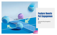 Dog Toy, Elastic sports ball with squeaker, durable, puppy training, multiple sizes, pet supplies