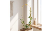 Climbing Plant Trellis Arched Metal Plant Support Tall Climbing Trellis for Planter