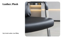 High spine support spine supportrest Cantilever Base Chair Ergonomic Design Office Furniture Modern and appearance Conference Seating Padded Armrests for managerials, video game enthusiasts, Study Room, Reception Area, Gaming Setup