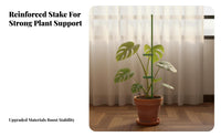 Climbing Plant Support Movable Clips Climbing Plant Pole Flower Stem Holder for Indoor, Potted Plants, Outdoor