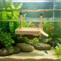 Floating Platform with Ramp Low-Height for Reptile Owners