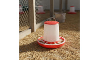 Grid Separation Design Automatic Chicken Feeder Long-Lasting PE Material Automatic Poultry Feeder Easy to Install and Clean for Backyard