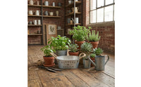 Rustic Planter Container Whitewashed Metal Planter Container Garden Decor Distressed Finish for Planting, Decorative Display
