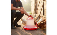 Grid Separation Design Automatic Chicken Feeder Long-Lasting PE Material Automatic Poultry Feeder Easy to Install and Clean for Backyard