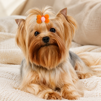 pet hair clips