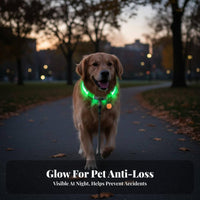 LED Dog Glow in The Dark Light up Dog Cuttable to Size Glowing Pet Necklace for Cat Owners, Night Walks, Outdoors, Outdoor