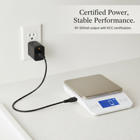 6V 500mA Universal Charger for Electronic Scales and Desk Scales