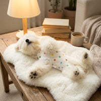 Post-Surgery Dog Suit and Recovery Suit for Dogs, Short Sleeve Body Canine Garment Bodysuit with Belly Protection