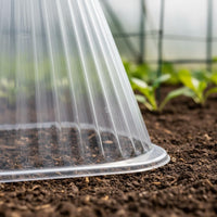Thickened Seedling Cloche Proof Mini Greenhouse Dome Reusable Frost Protection Dome Anti Deform for Vegetable Plot, Garden, Nursery