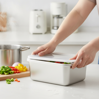 Stainless Steel Food Storage Container with Lid for Refrigerator, Lunch Box, Bento, Picnic