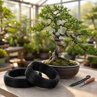 bonsai training wire