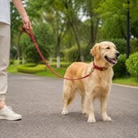 Dog Leash and Collar Set, with Reflective Material, 2.1m Long Leash, Size S, for Daily Walks, Also for Night Use