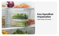 Herb container Keeps Food crisp Draining Herb preserver Sealed Lid for Home Cooks