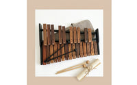 25-Note Xylophone Portable Wooden Xylophone Clear Glockenspiel with Wooden Mallets for Teachers, Music Lessons