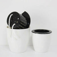 Plant Pots and Hanging Basket for Home Decor, Wall Mounted and Freestanding Hanging Plant, European Style Fence Planters
