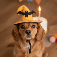 Pet Bat/Spider Hat for Cats and Small Dogs, Rabbit Ear Design, Birthday Party Costume Accessory