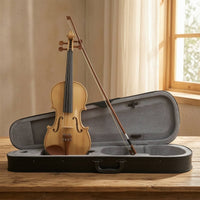 Violin with Hard Case Wooden Violin with Case Black Student for Beginners, Practice, Lessons
