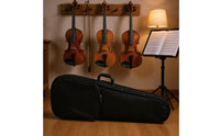 Triangular Violin Case Resilient Cover Violin Case for Artists