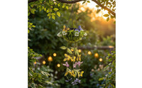 Lighted Hanging Plant with Butterflies Colorful Solar Hanging Plant Low-Maintenance Decoration Energy-Efficient for Balcony