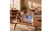 Cat Water Fountain Quiet Pet Drinking Fountain Waterer Electric Corded for Cats, Apartments, Kitchen
