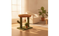 Cat Activity Center Green Cat Scratching Surface with Bed Space-Saving Pet Accessory for Living Room