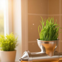 Stainless Steel Wheatgrass Juicer Easy to Clean Manual Wheatgrass Juicer